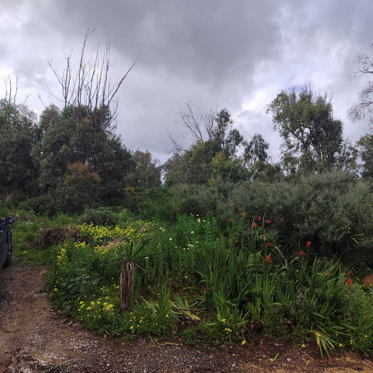 Plots for sale in Manilva Costa Del Sol, Málaga, Spain