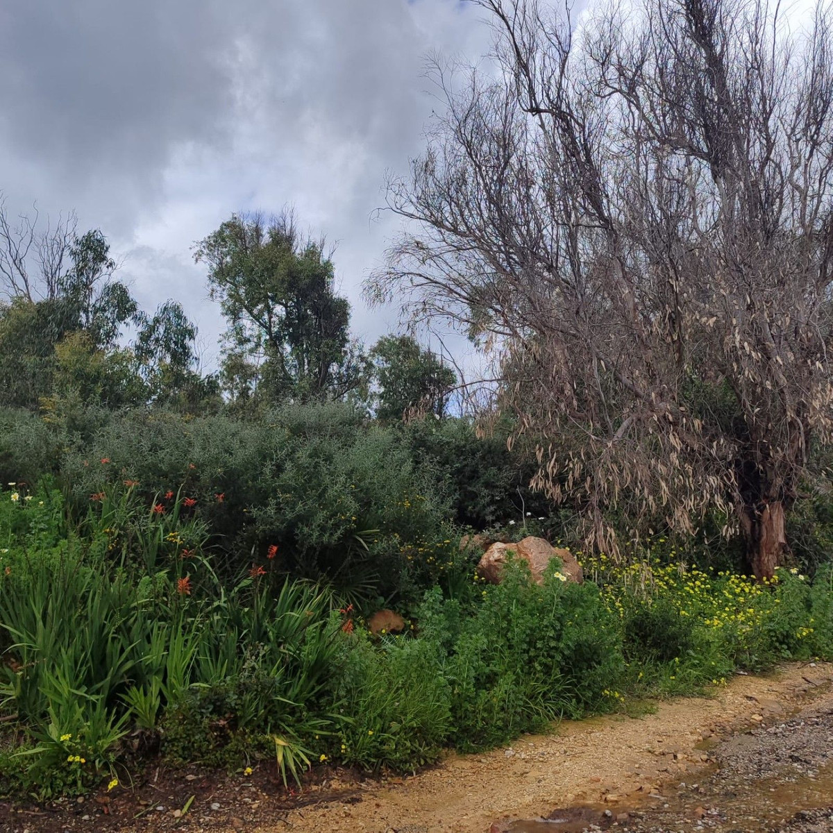 Plots for sale in Manilva Costa Del Sol, Málaga, Spain