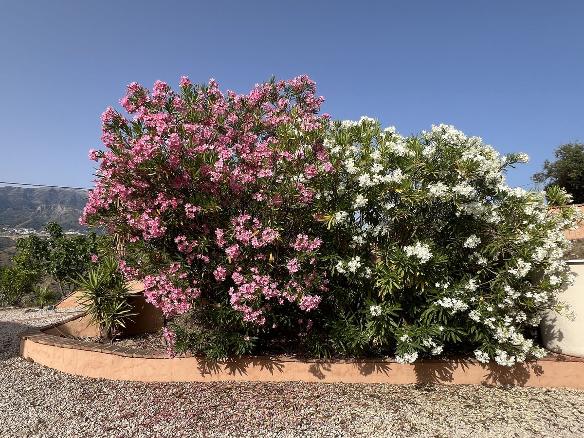 3 Bed Townhouse for sale in Canillas De Aceituno Costa Del Sol East, Málaga, Spain