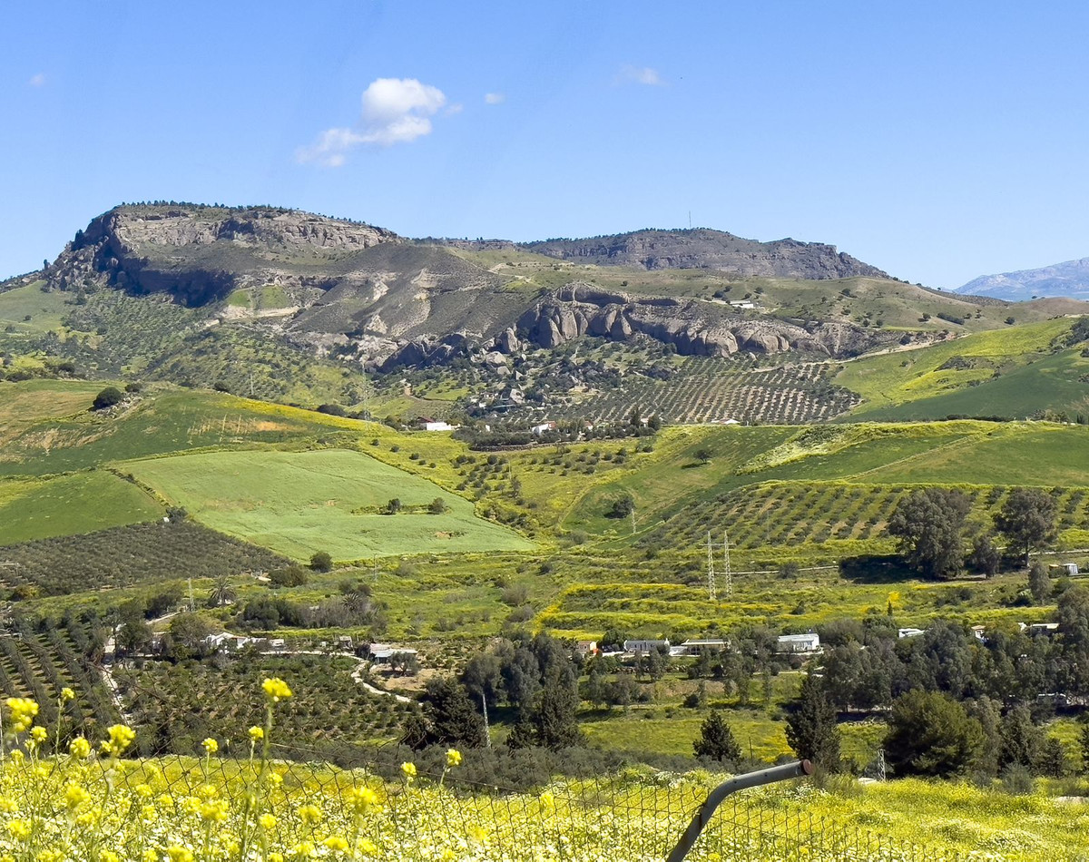 Se vende Finca - Cortijo de 3 dormitorios en Costa Del Sol, Málaga, España