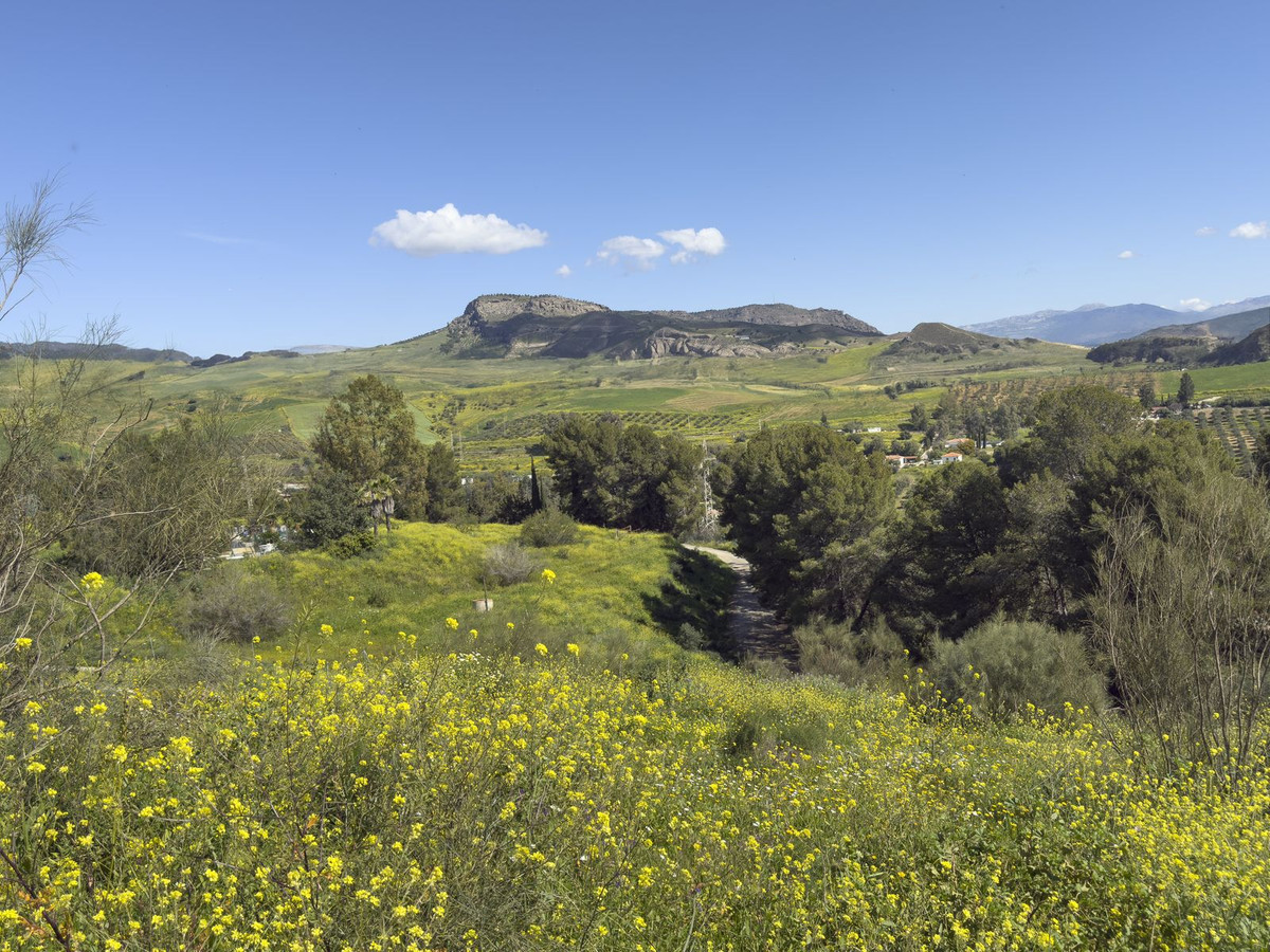 Se vende Finca - Cortijo de 3 dormitorios en Costa Del Sol, Málaga, España