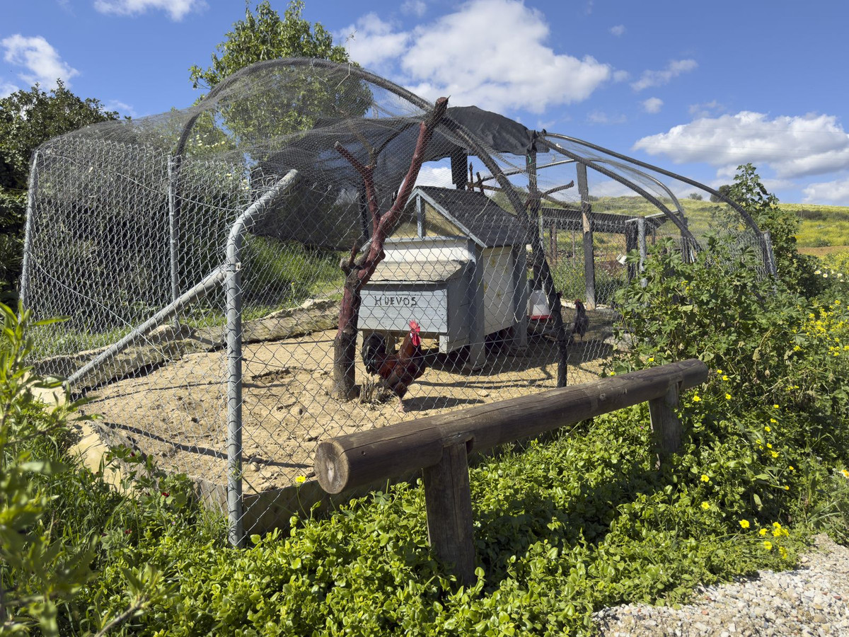 Se vende Finca - Cortijo de 3 dormitorios en Costa Del Sol, Málaga, España