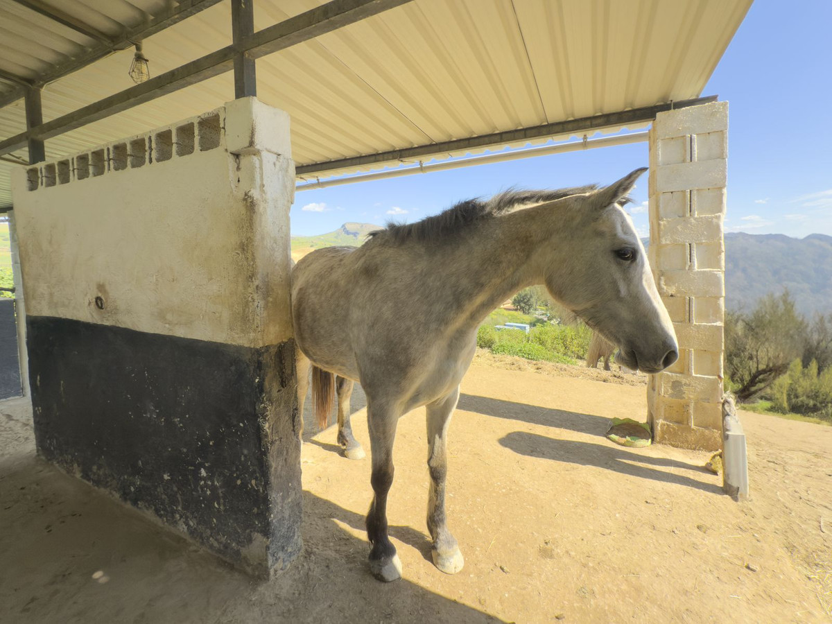 Se vende Finca - Cortijo de 3 dormitorios en Costa Del Sol, Málaga, España