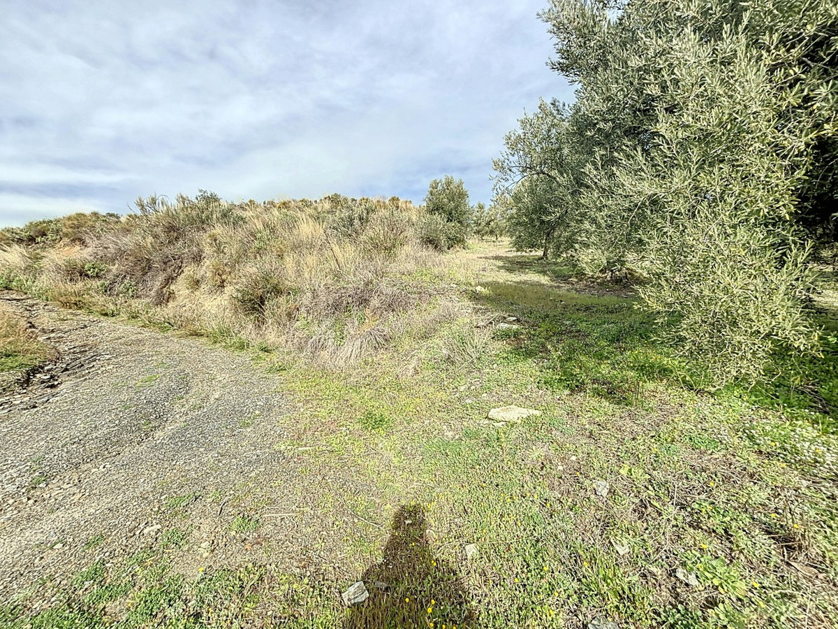 1 Bed Plots for sale in Sedella Costa Del Sol East, Málaga, Spain