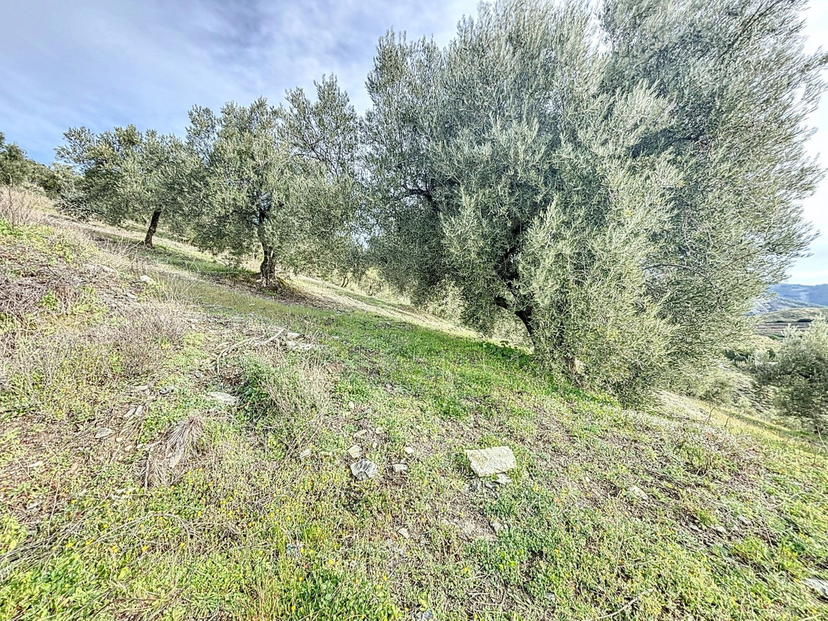 1 Bed Plots for sale in Sedella Costa Del Sol East, Málaga, Spain