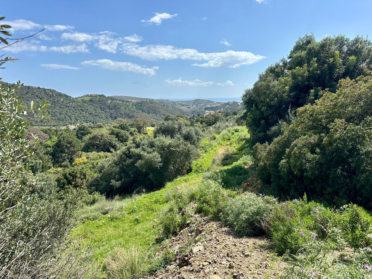 Plots for sale in Benahavís Costa Del Sol, Málaga, Spain