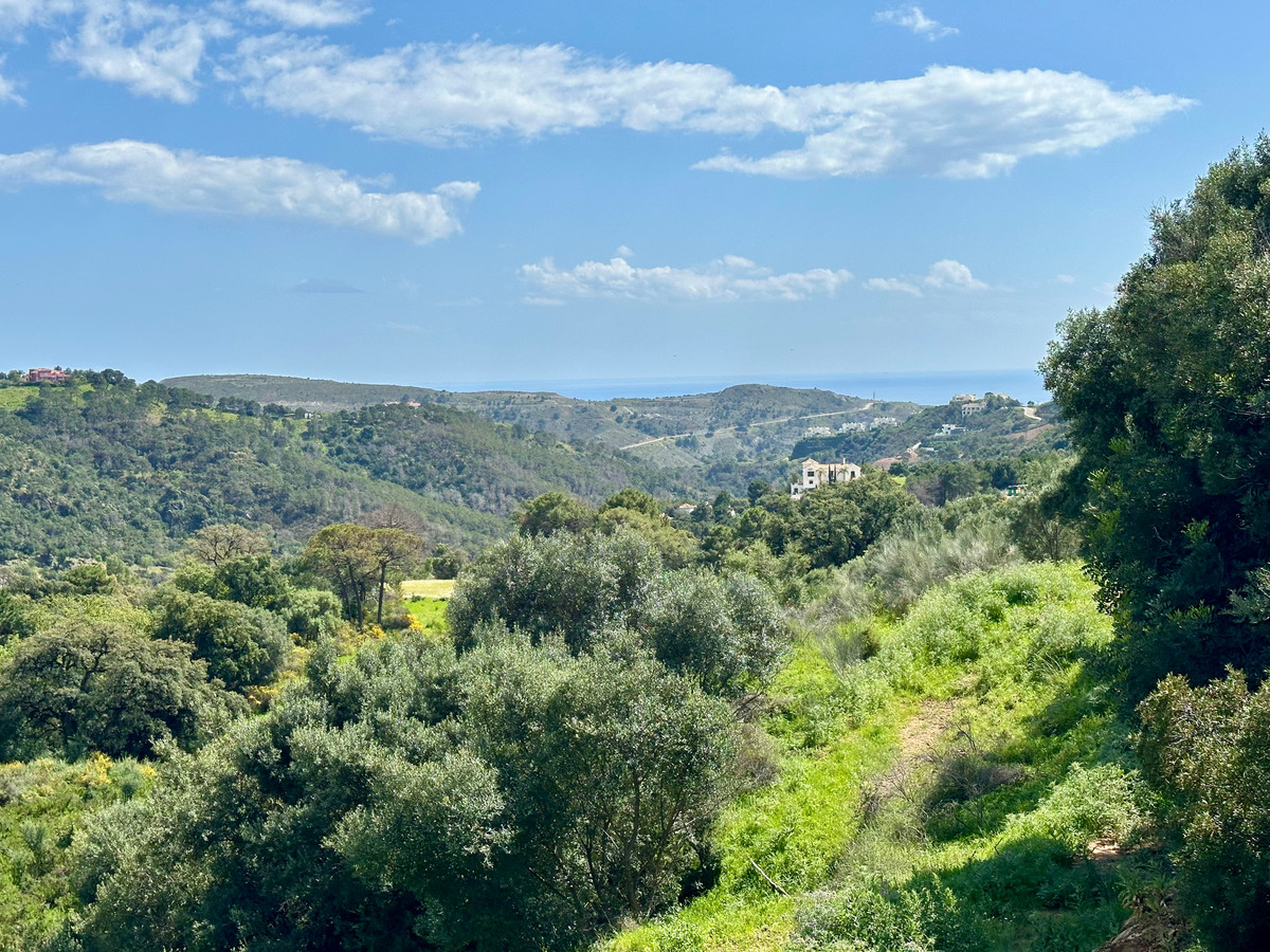 Plots for sale in Benahavís Costa Del Sol, Málaga, Spain
