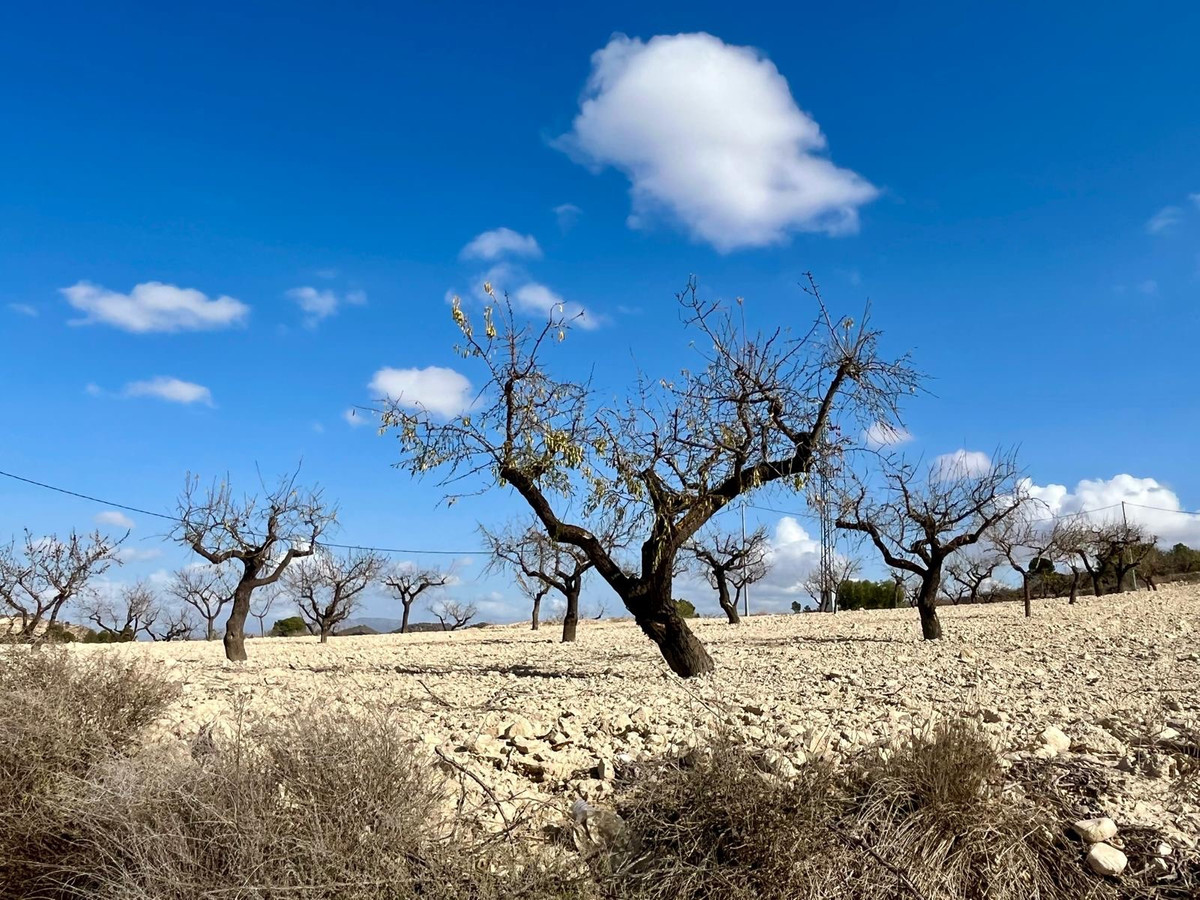 Se vende Terreno Rustico  en Costa Calida, Murcia, España