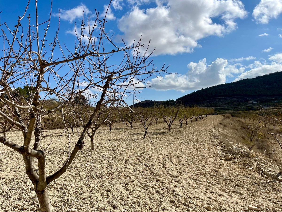 Se vende Terreno Rustico  en Costa Calida, Murcia, España