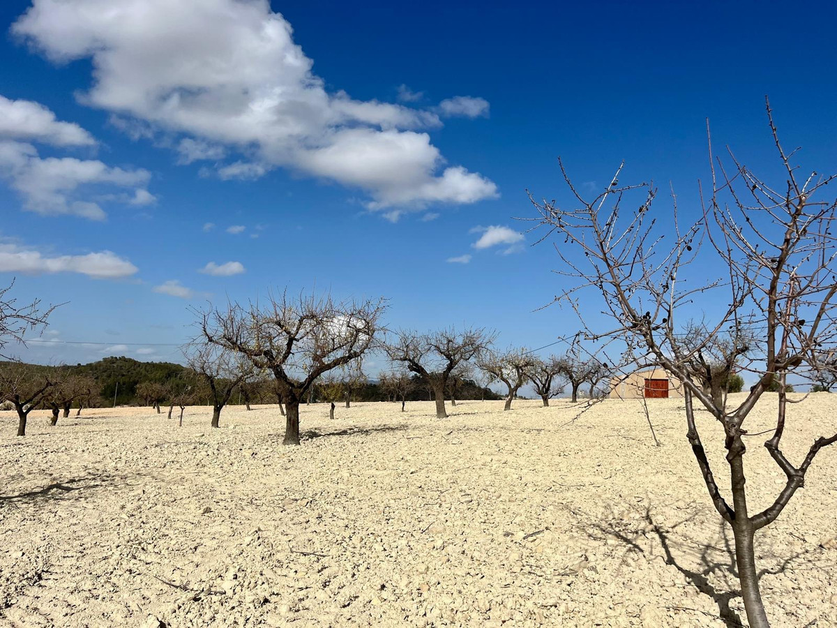 Se vende Terreno Rustico  en Costa Calida, Murcia, España