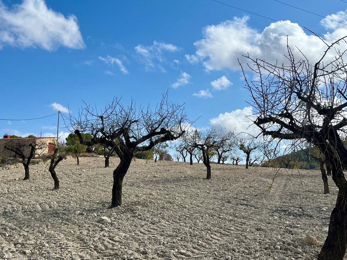 Se vende Terreno Rustico  en Costa Calida, Murcia, España