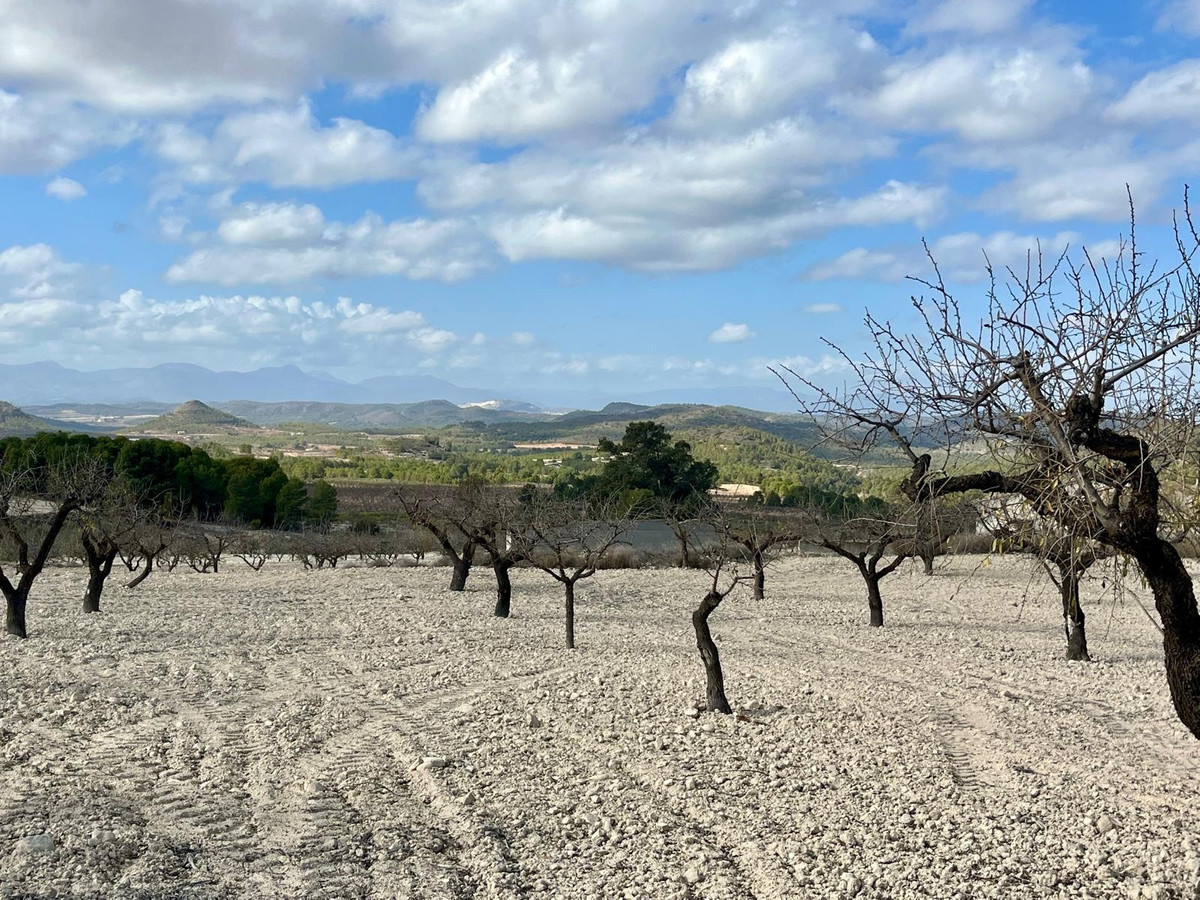 Se vende Terreno Rustico  en Costa Calida, Murcia, España