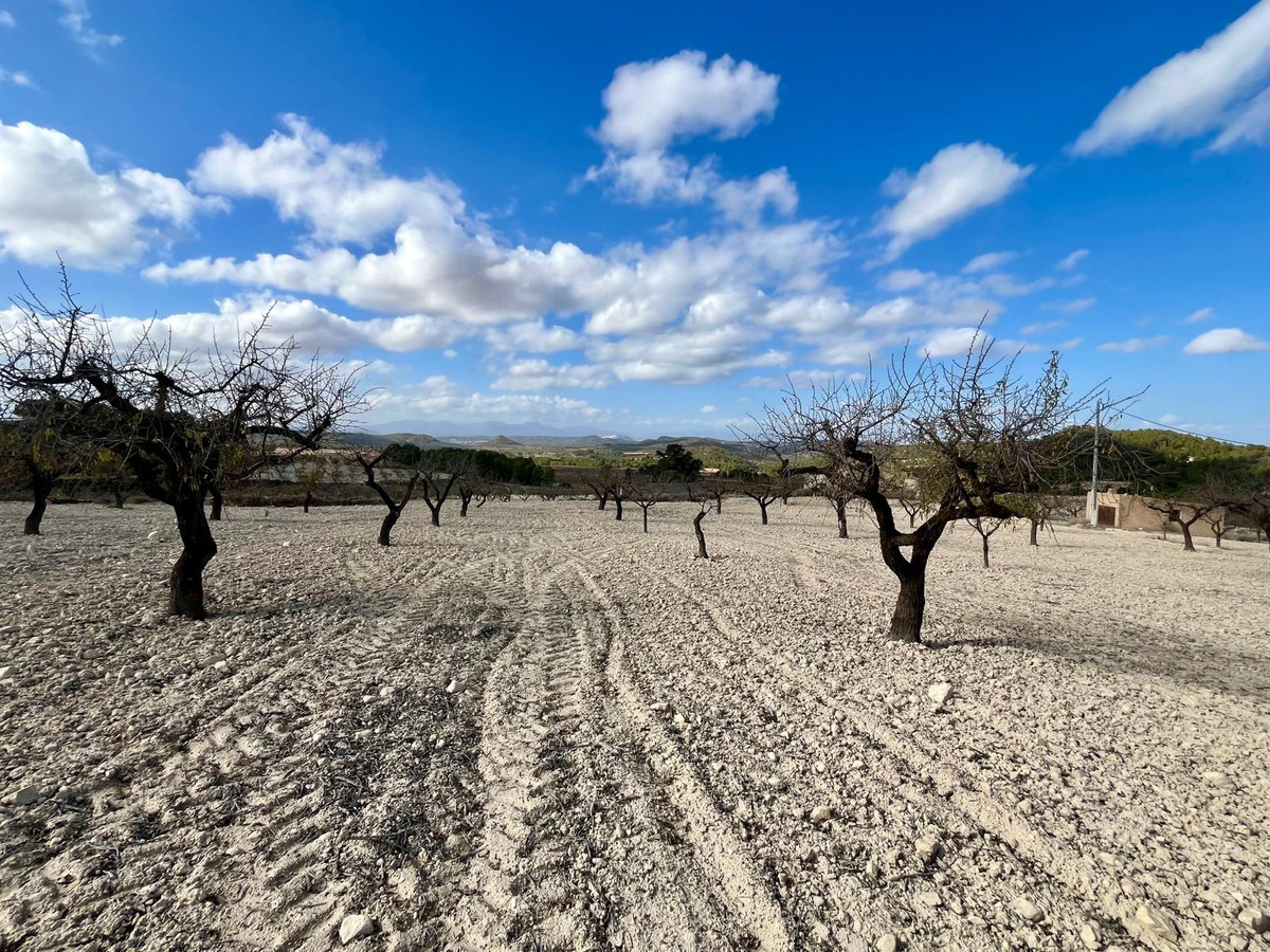 Se vende Terreno Rustico  en Costa Calida, Murcia, España