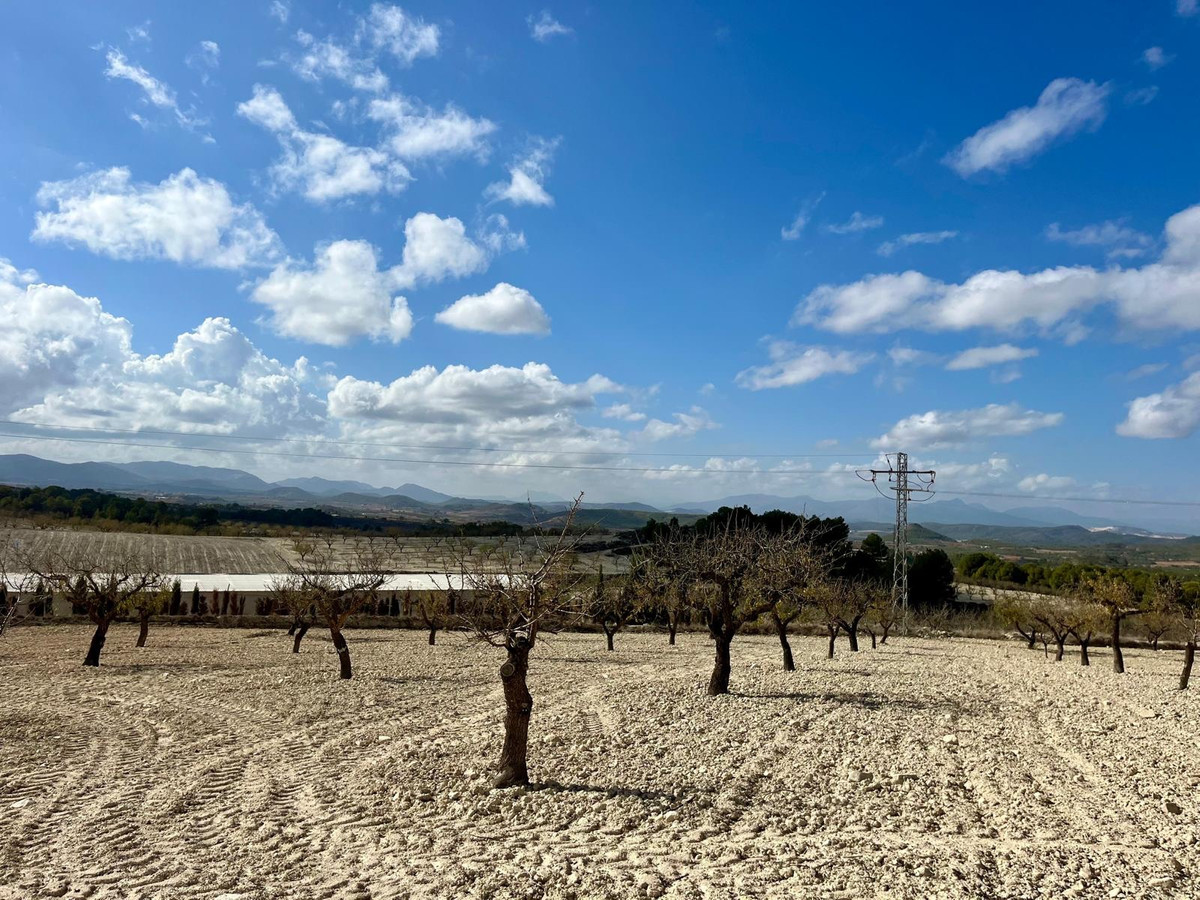 Se vende Terreno Rustico  en Costa Calida, Murcia, España