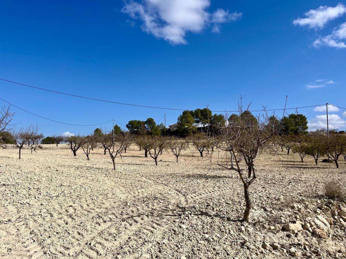 Se vende Terreno Rustico  en Costa Calida, Murcia, España