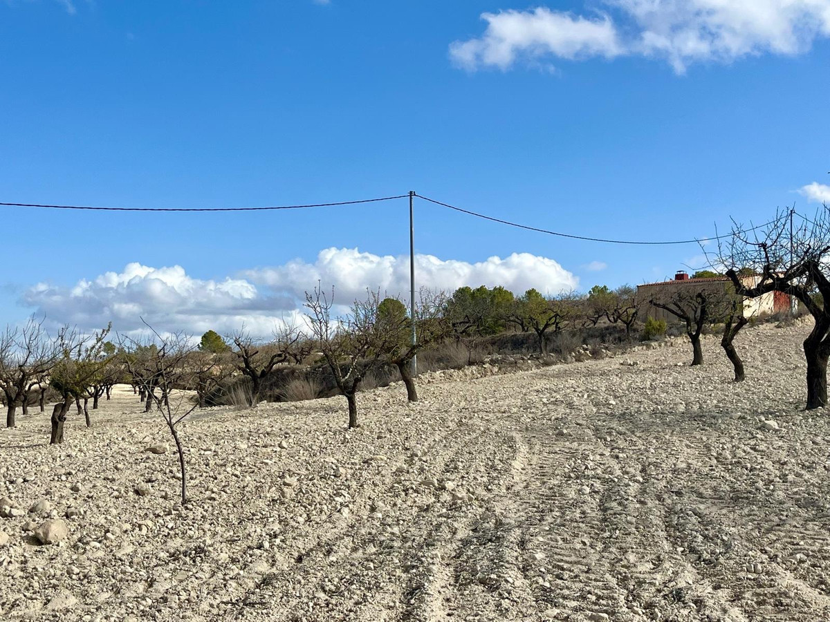 Se vende Terreno Rustico  en Costa Calida, Murcia, España