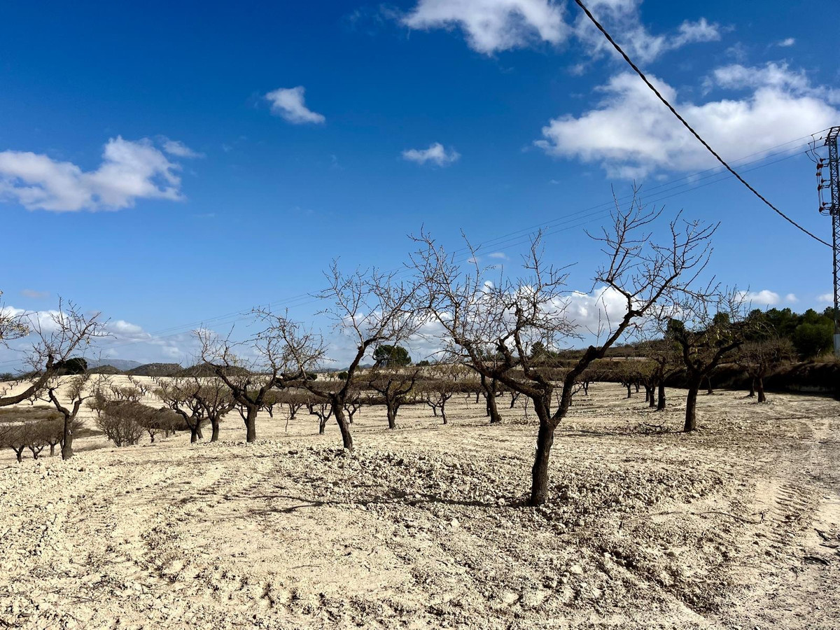 Se vende Terreno Rustico  en Costa Calida, Murcia, España
