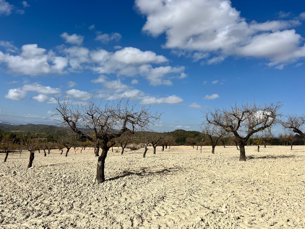 Se vende Terreno Rustico  en Costa Calida, Murcia, España