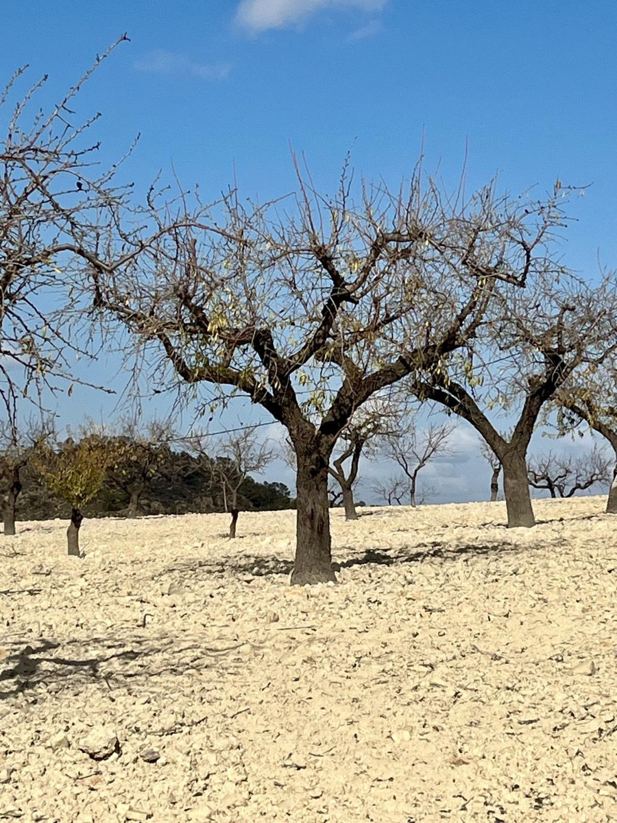 Se vende Terreno Rustico  en Costa Calida, Murcia, España