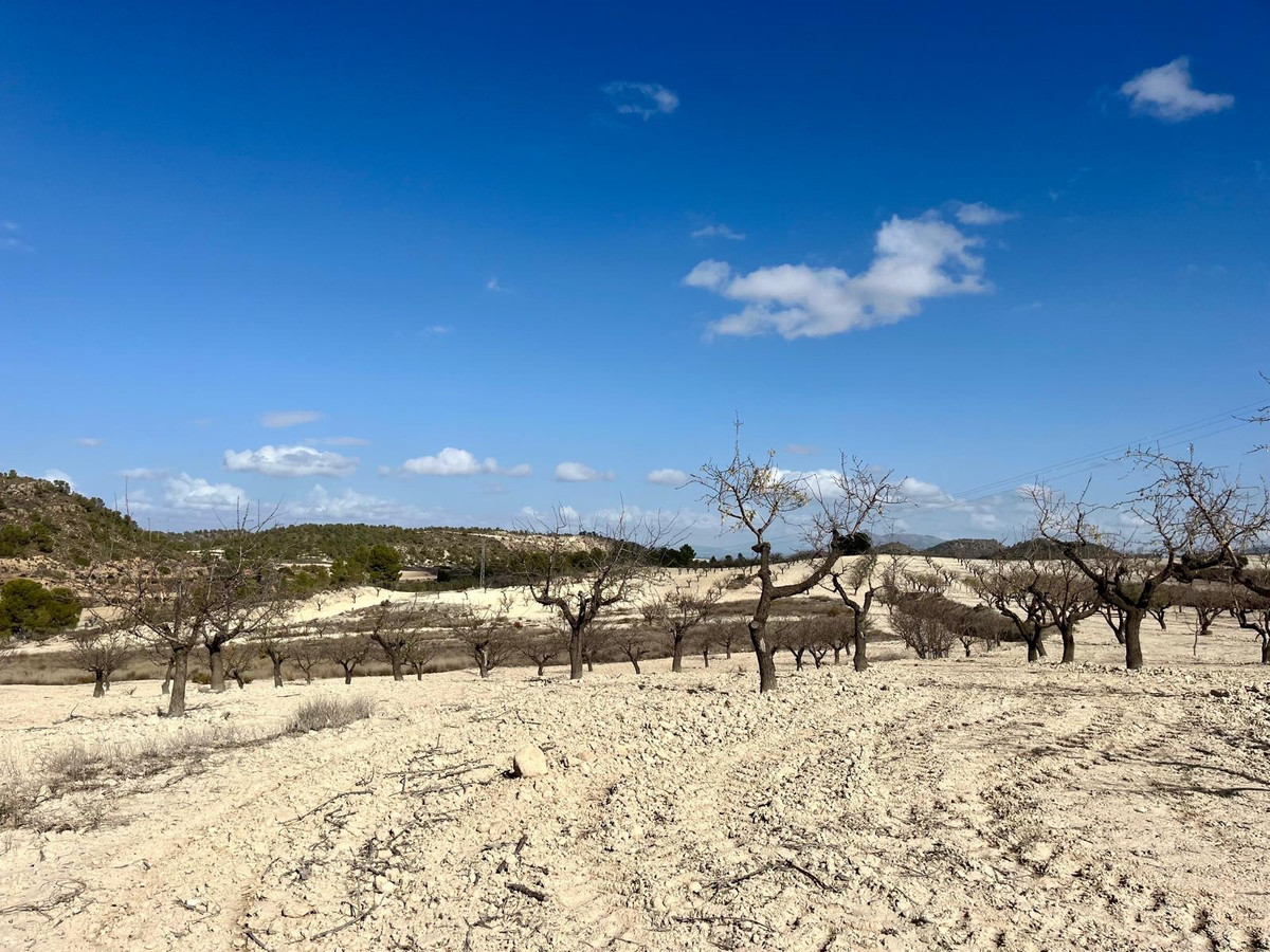 Se vende Terreno Rustico  en Costa Calida, Murcia, España
