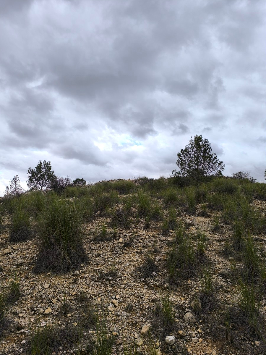 Se vende Terreno Rustico  en Costa Blanca, Alicante, España