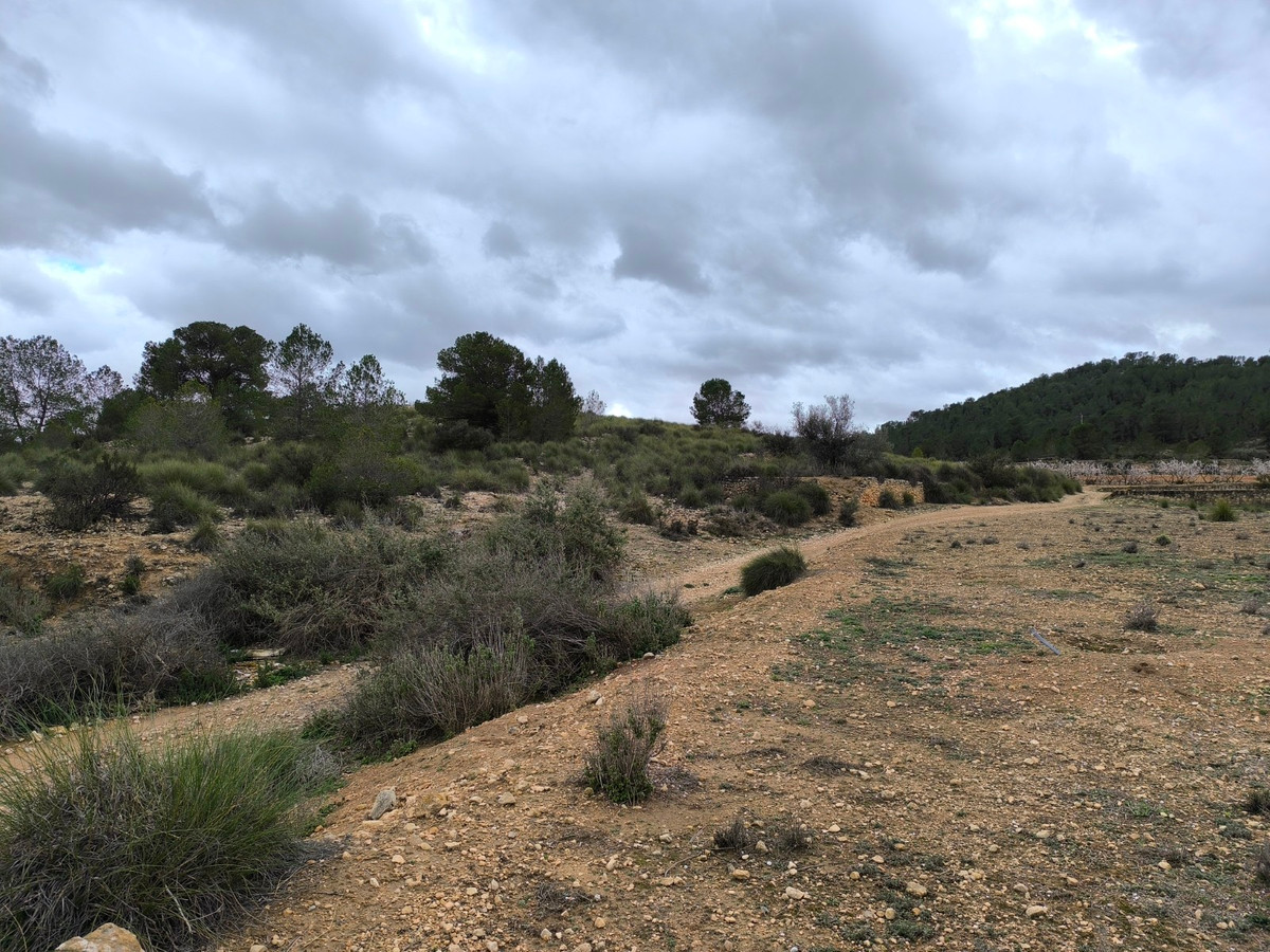 Se vende Terreno Rustico  en Costa Blanca, Alicante, España