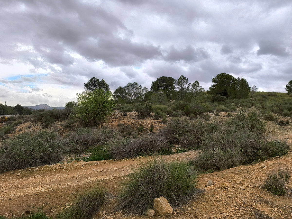 Se vende Terreno Rustico  en Costa Blanca, Alicante, España