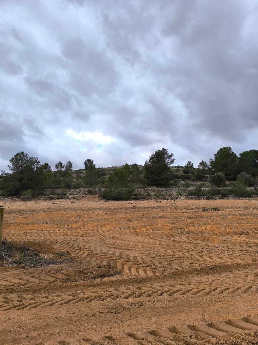 Se vende Terreno Rustico  en Costa Blanca, Alicante, España