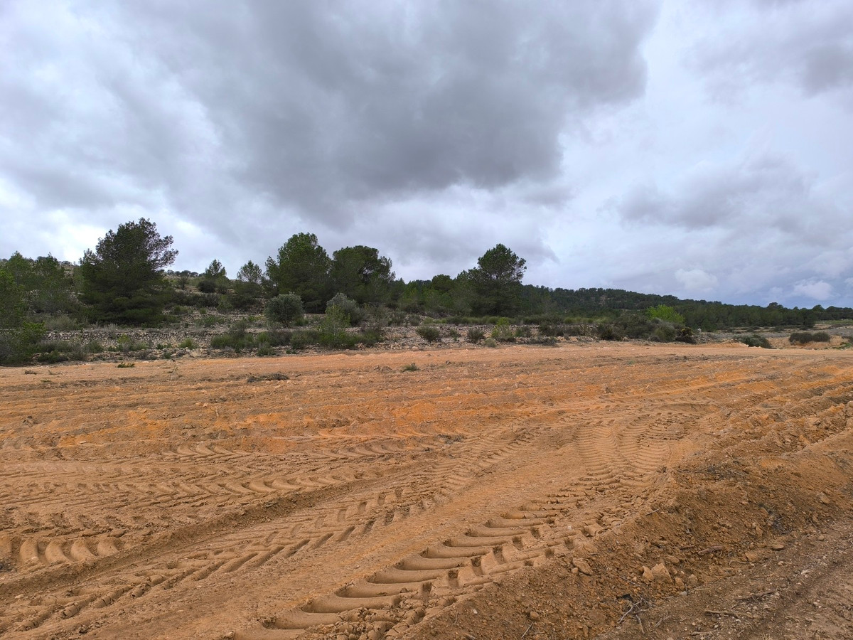 Se vende Terreno Rustico  en Costa Blanca, Alicante, España