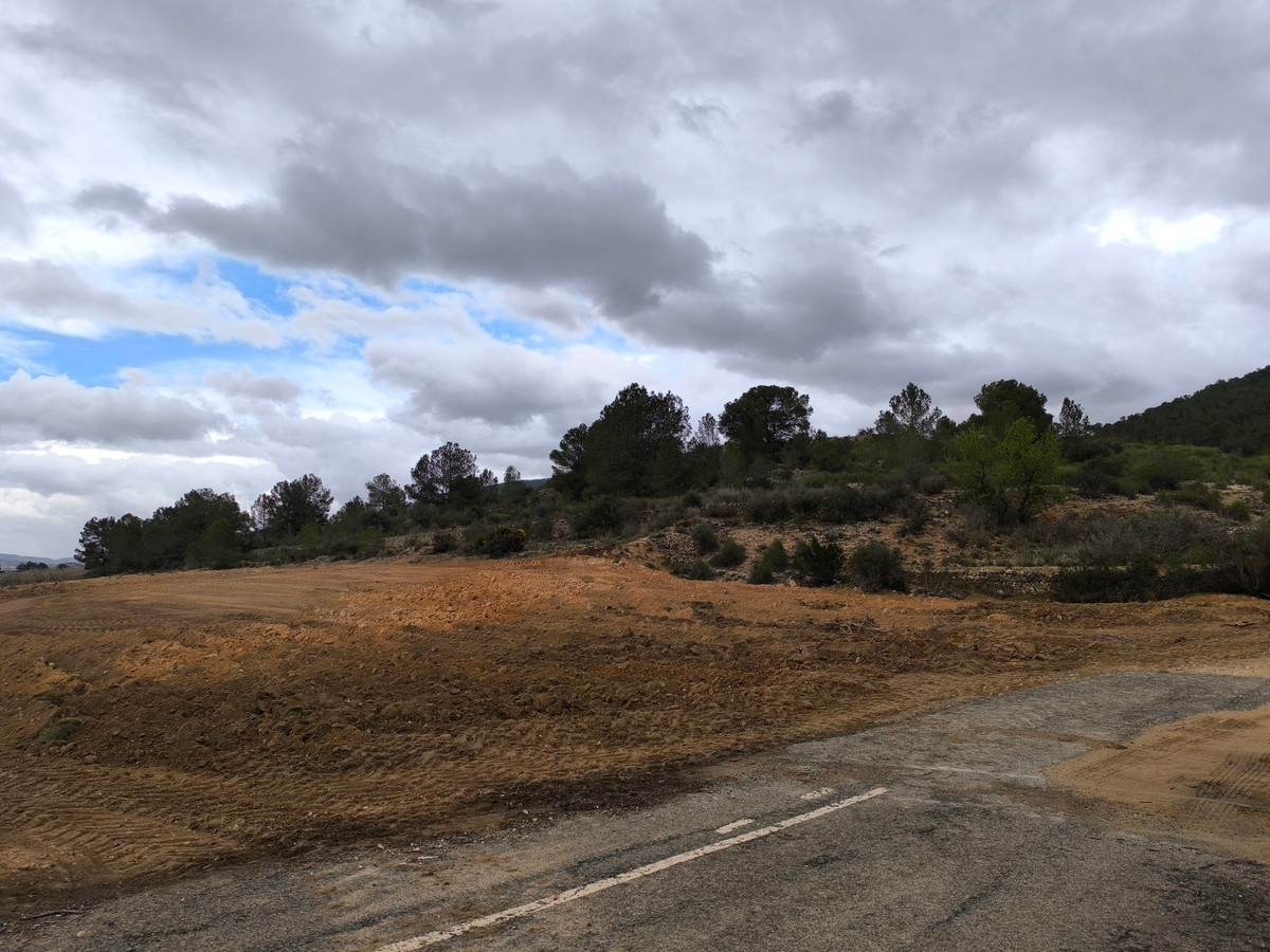 Se vende Terreno Rustico  en Costa Blanca, Alicante, España