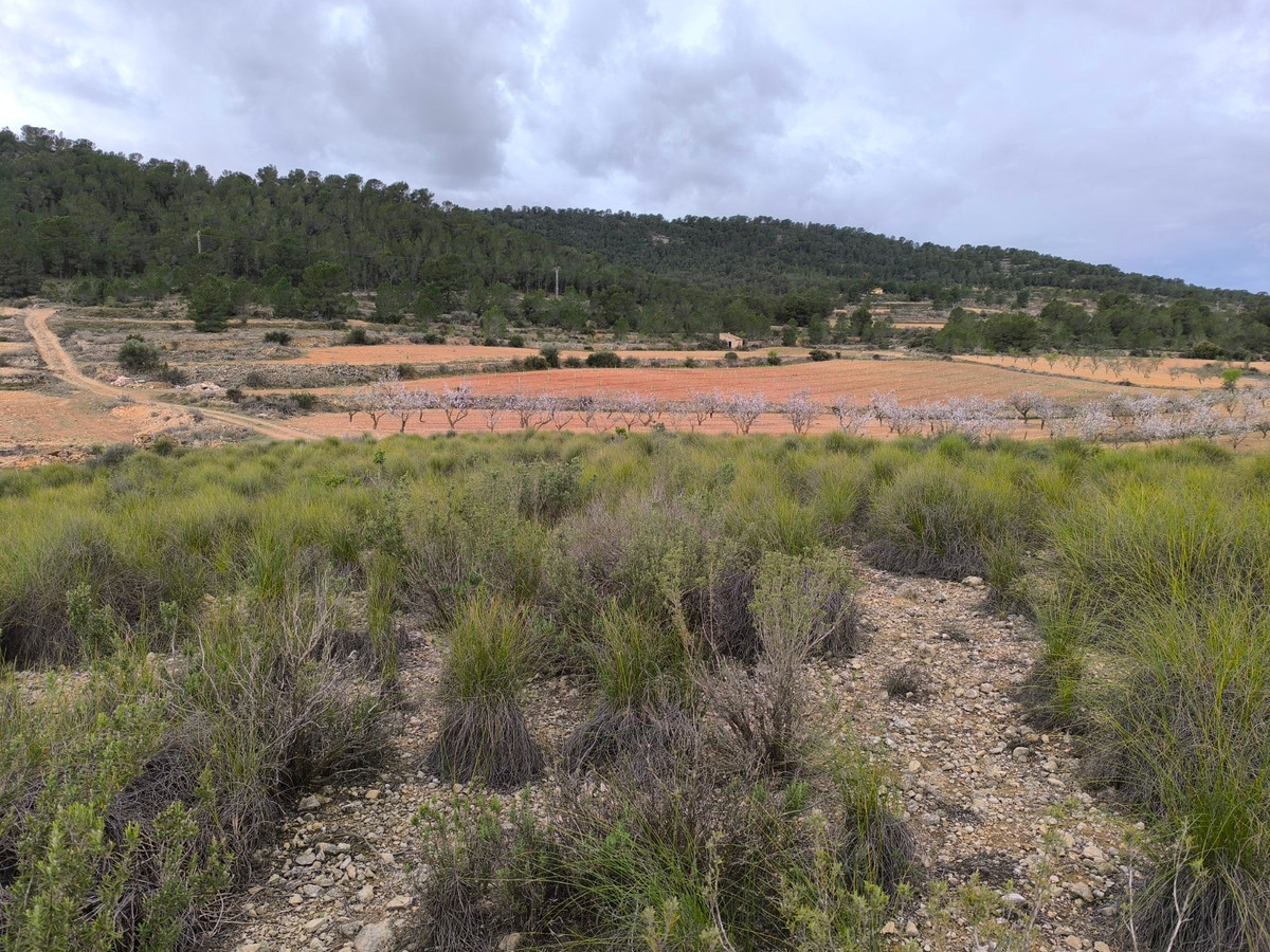 Se vende Terreno Rustico  en Costa Blanca, Alicante, España