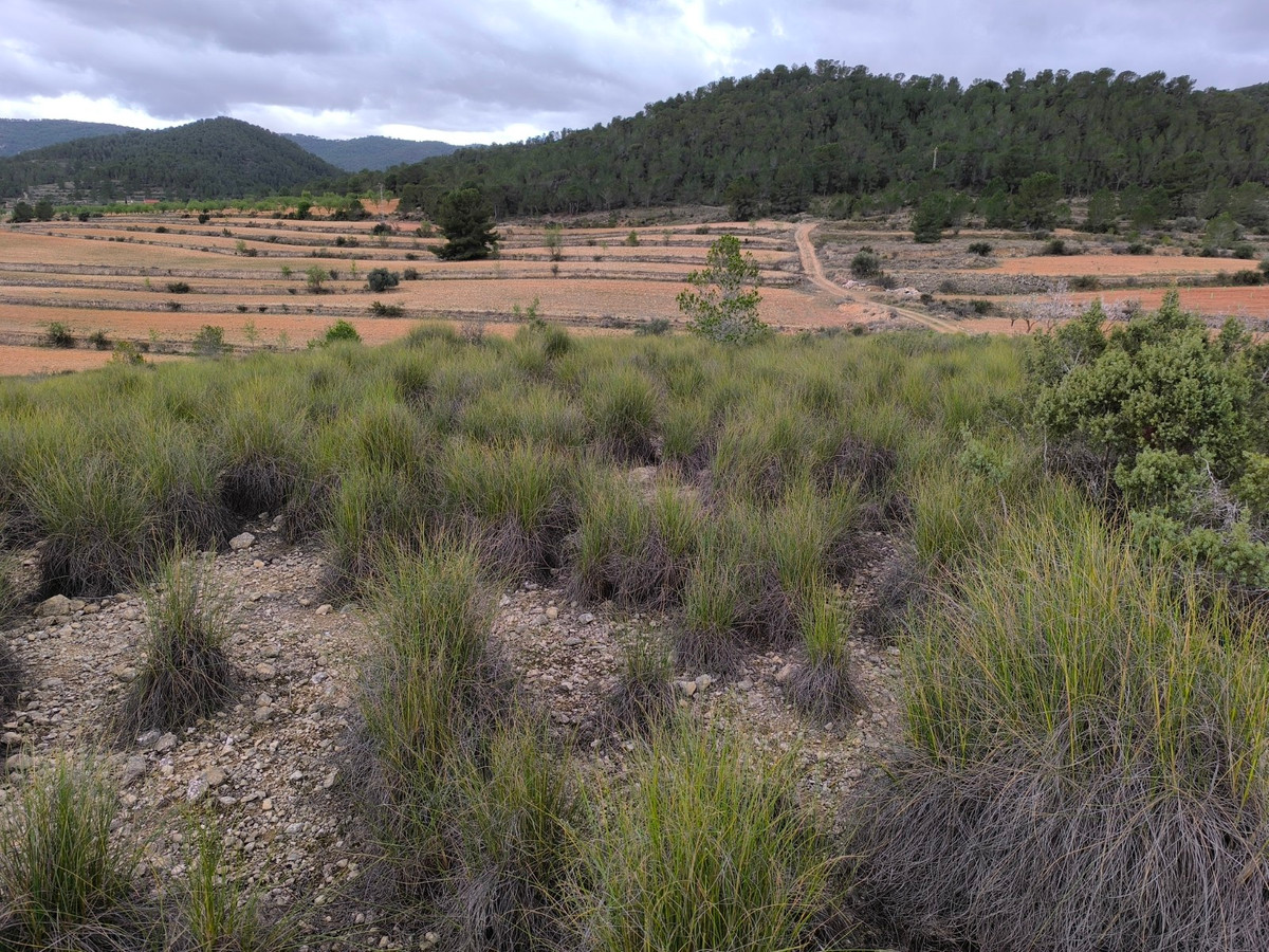 Se vende Terreno Rustico  en Costa Blanca, Alicante, España
