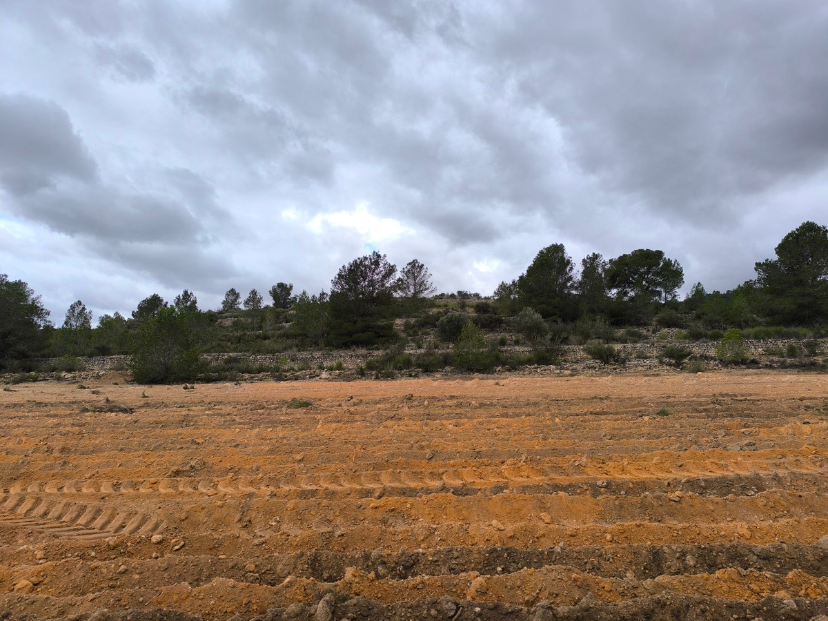 Se vende Terreno Rustico  en Costa Blanca, Alicante, España