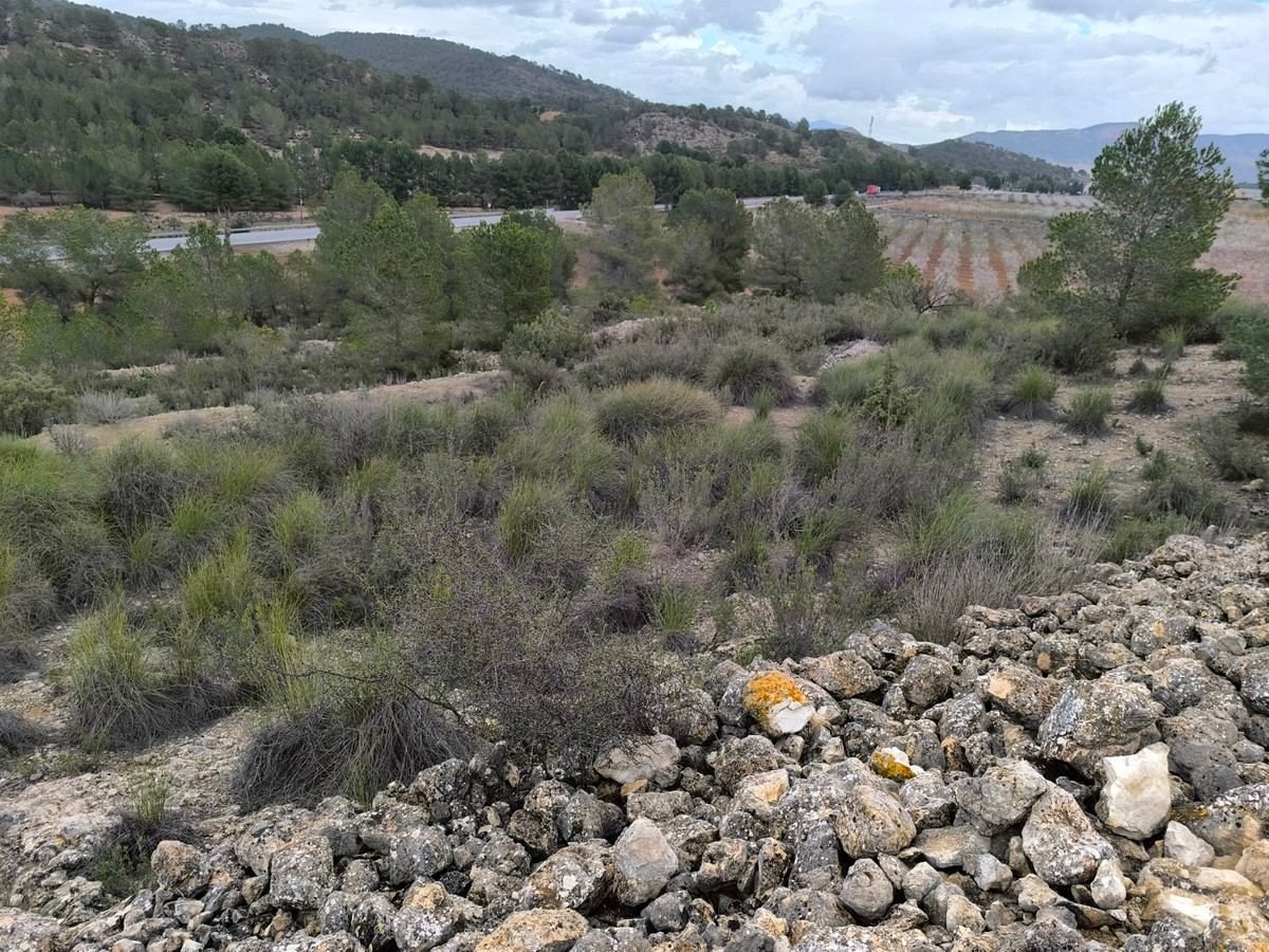 Se vende Terreno Rustico  en Costa Blanca, Alicante, España