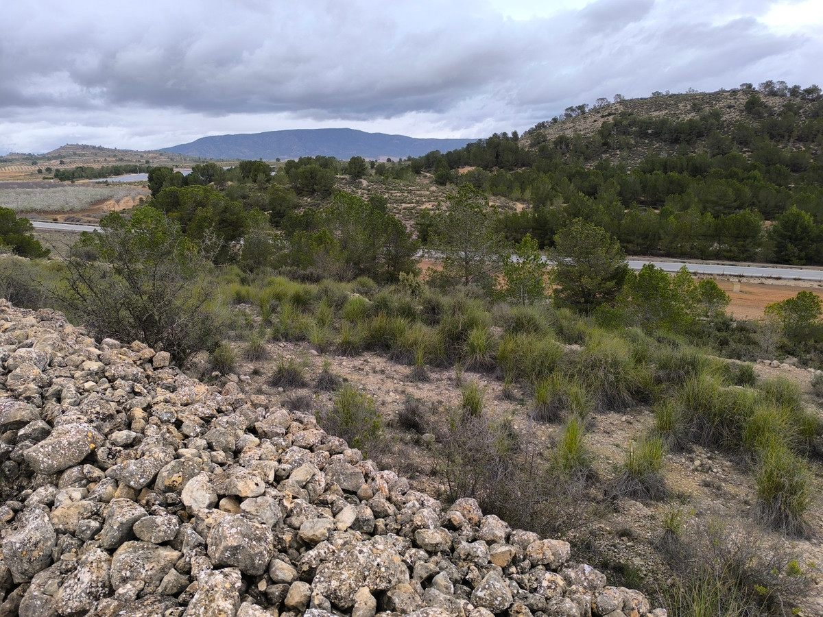 Se vende Terreno Rustico  en Costa Blanca, Alicante, España