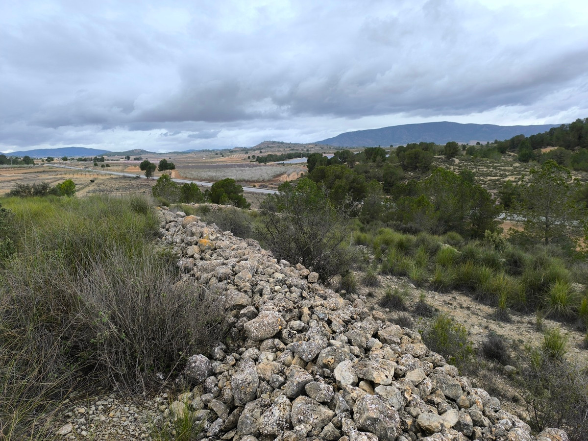 Se vende Terreno Rustico  en Costa Blanca, Alicante, España