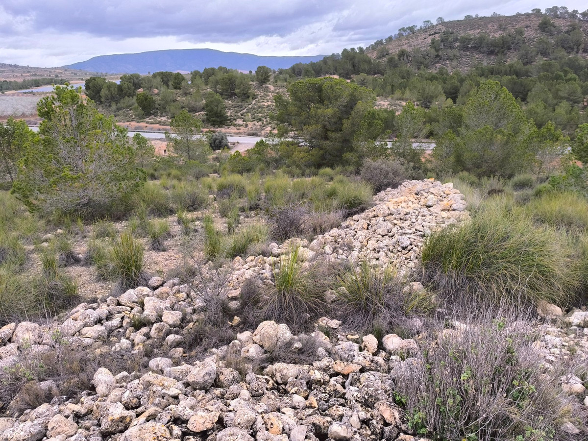 Se vende Terreno Rustico  en Costa Blanca, Alicante, España