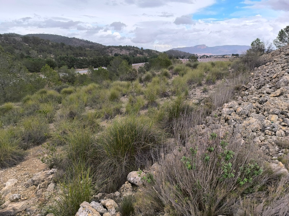 Se vende Terreno Rustico  en Costa Blanca, Alicante, España
