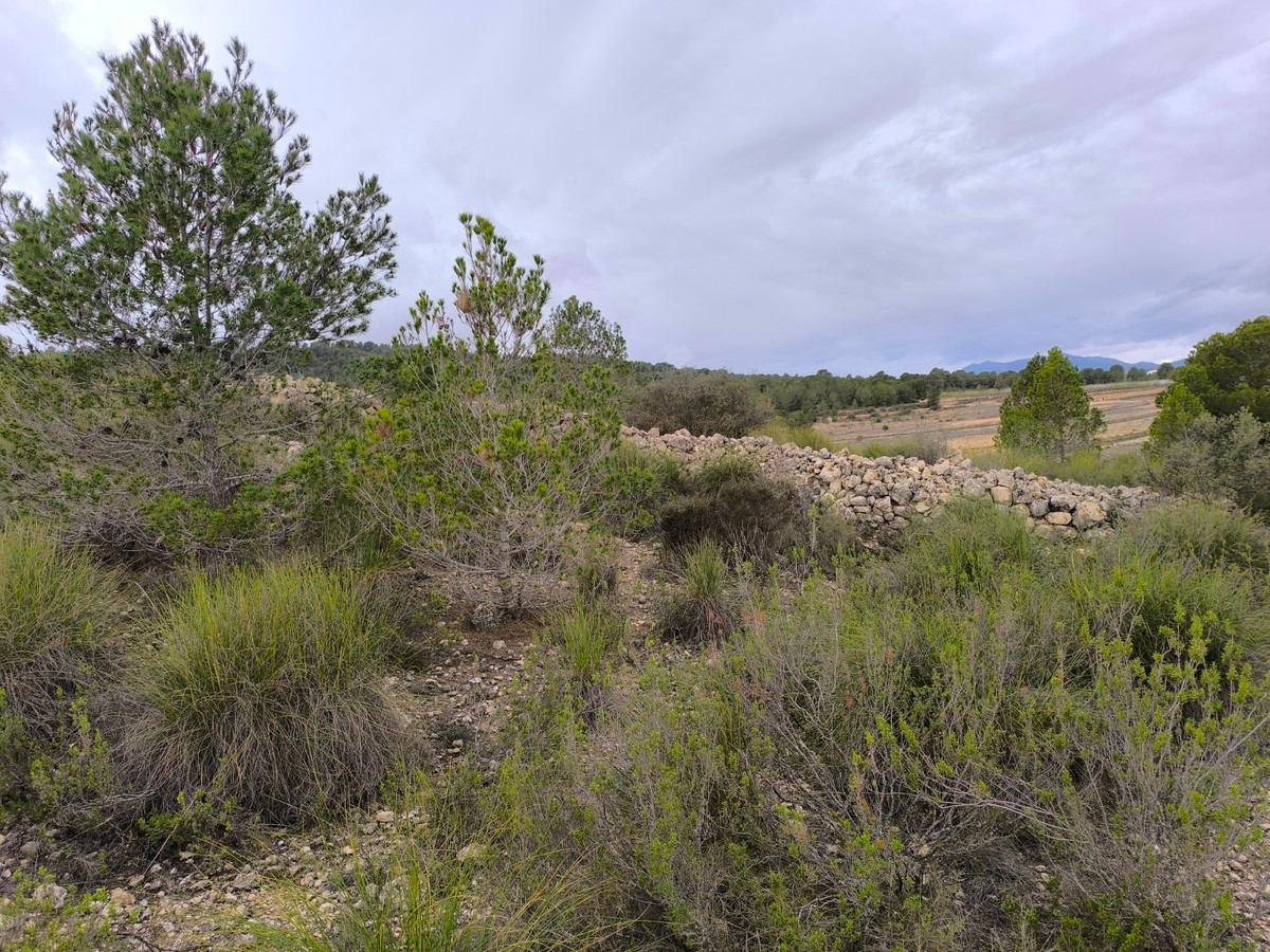 Se vende Terreno Rustico  en Costa Blanca, Alicante, España