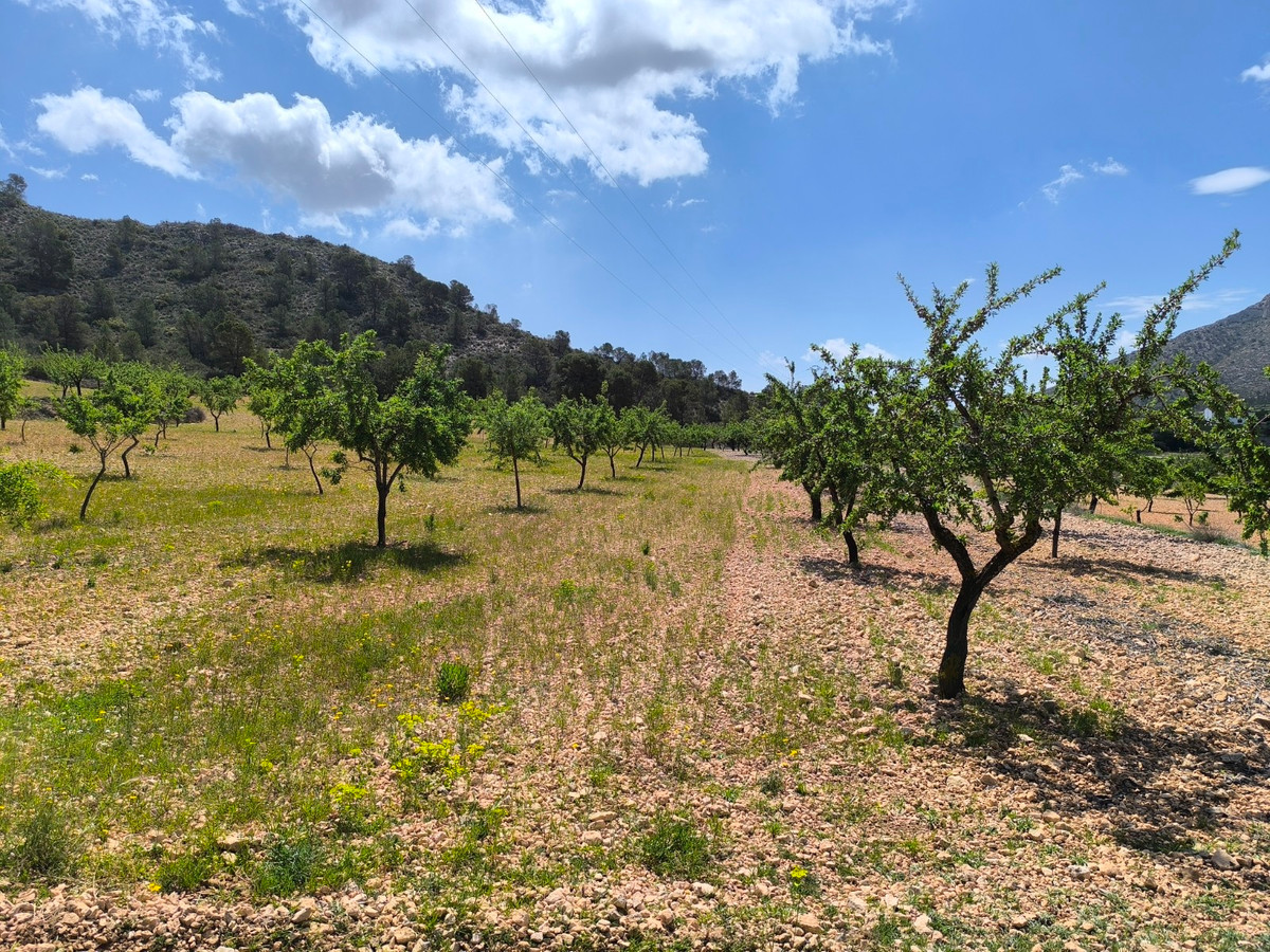 Se vende Terreno Rustico  en Costa Blanca, Alicante, España