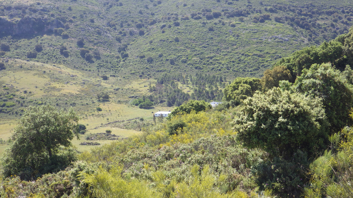 Plots for sale in Ronda Costa Del Sol, Málaga, Spain