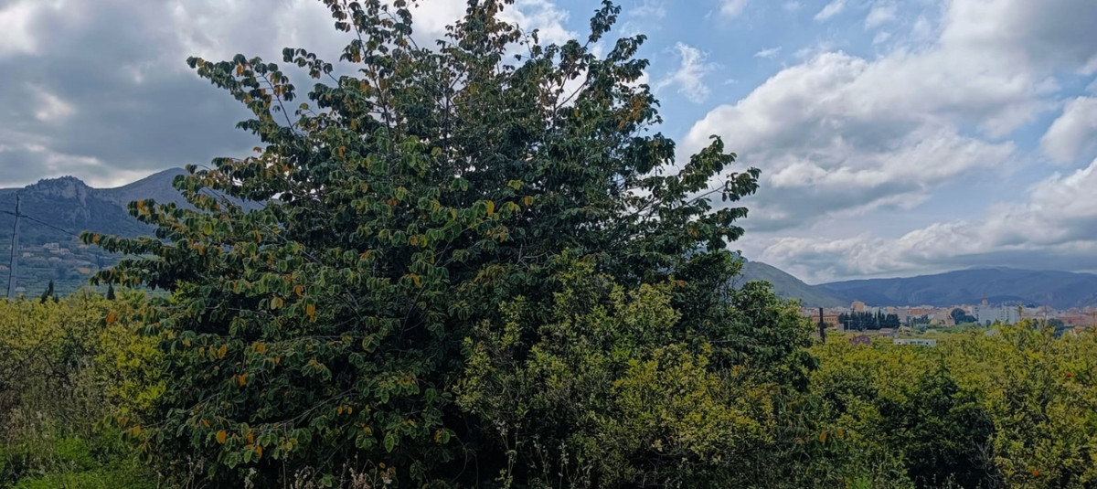 Se vende Terreno Urbano de 1 dormitorios en Costa Blanca, Alicante, España