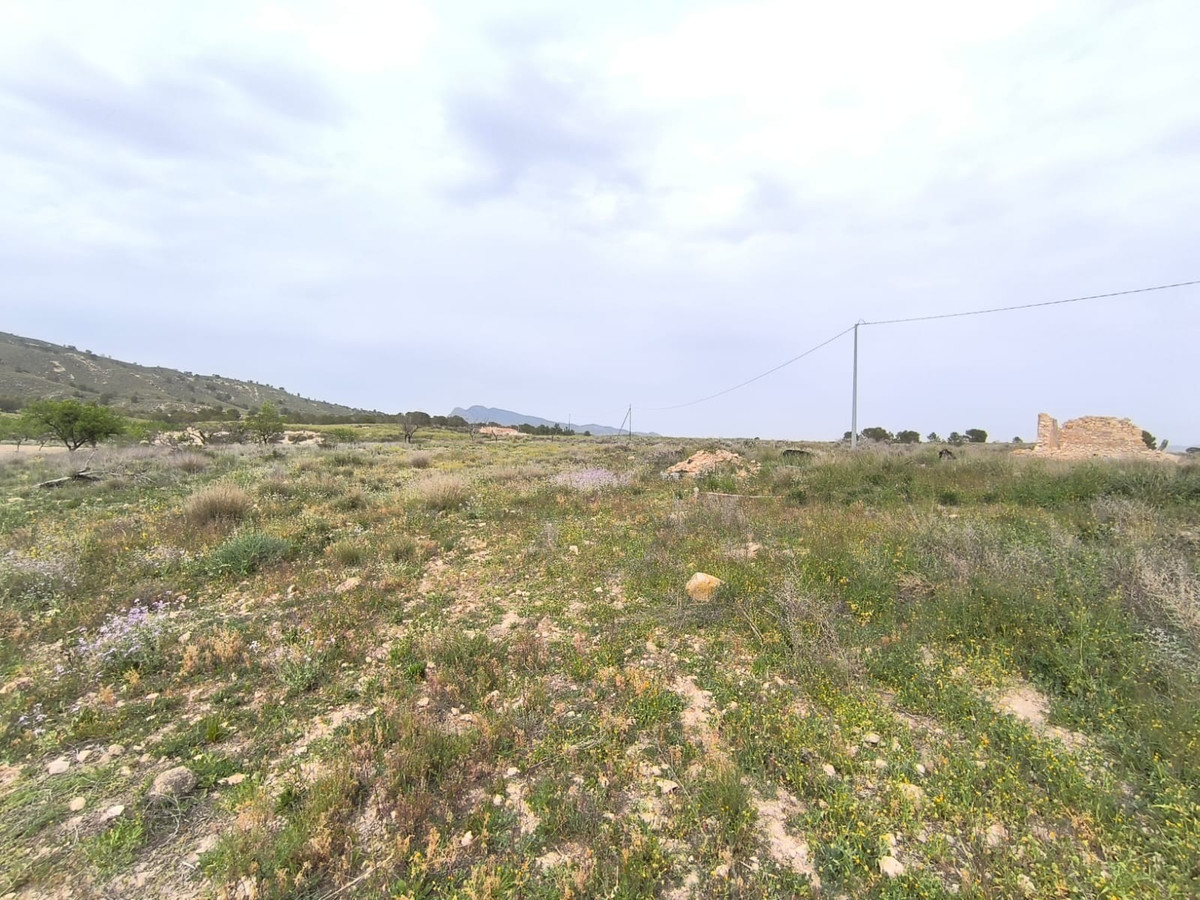 8 Bed Plots for sale in Jumilla Costa Calida, Murcia, Spain