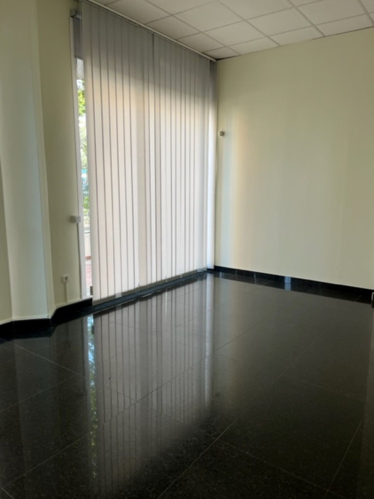 Commercial unit for sale in Marbella Costa Del Sol, Málaga, Spain