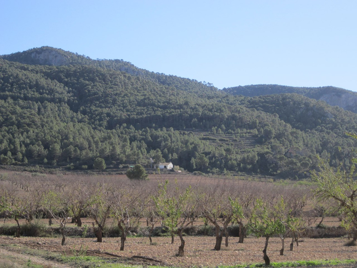 Se vende Terreno Rustico  en Costa Blanca, Alicante, España
