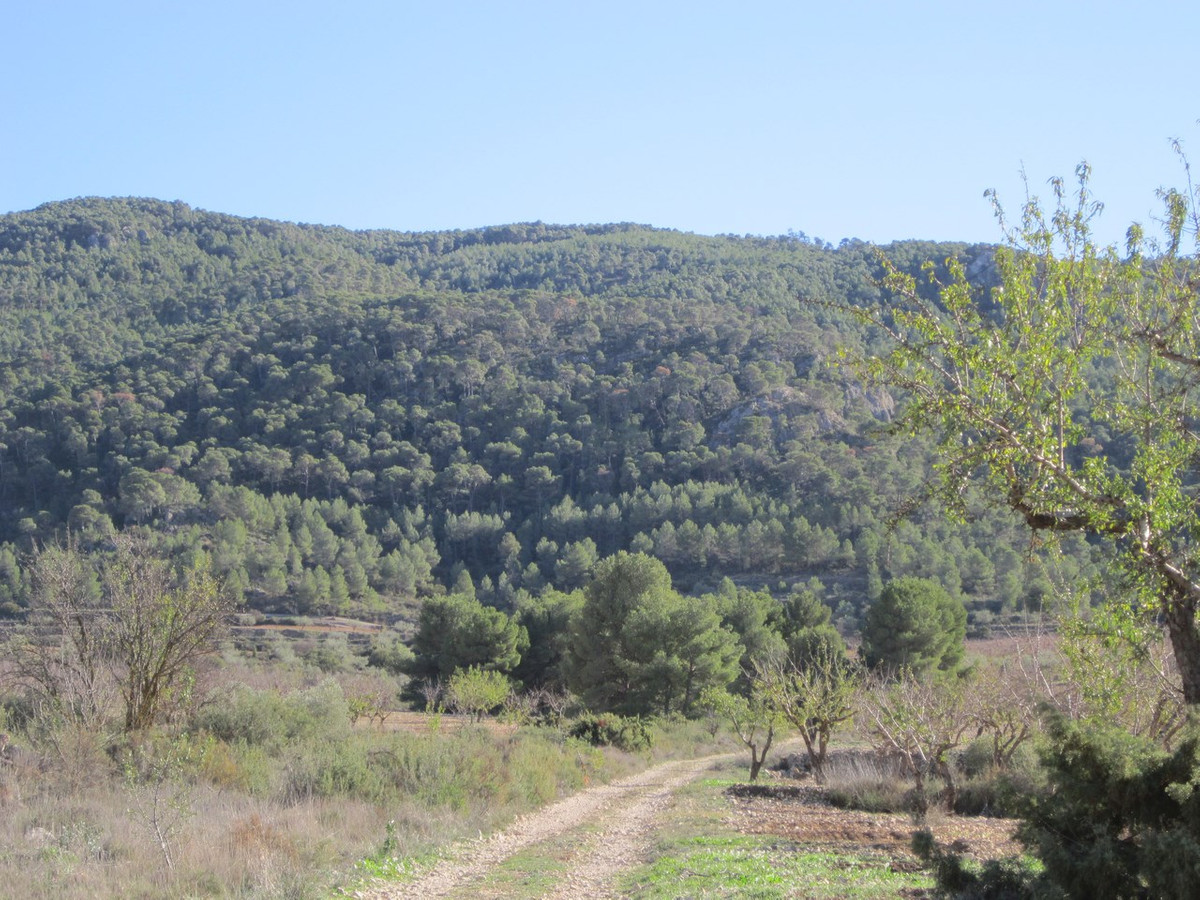 Se vende Terreno Rustico  en Costa Blanca, Alicante, España