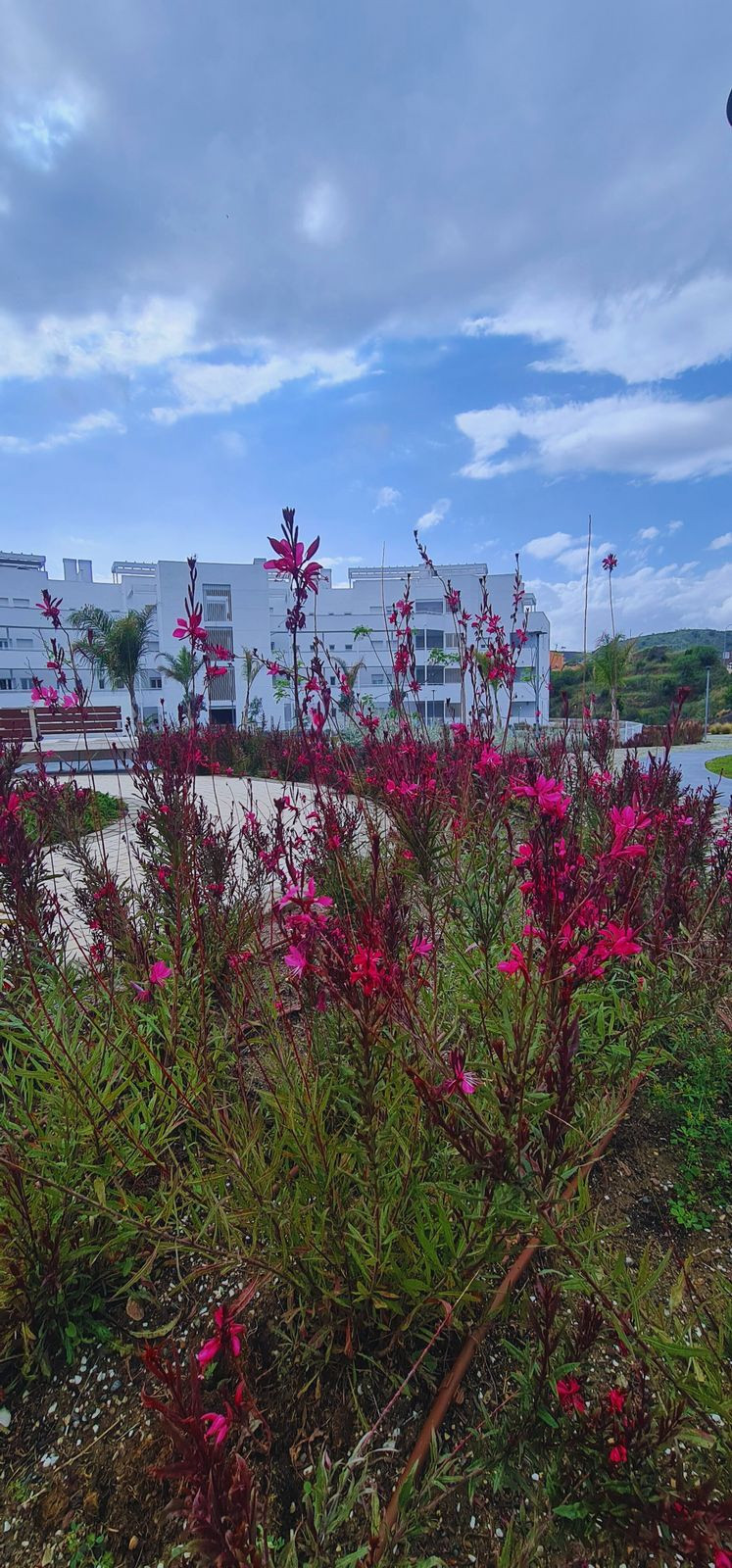 3 Bed Apartment for sale in Rincón De La Victoria Costa Del Sol East, Málaga, Spain