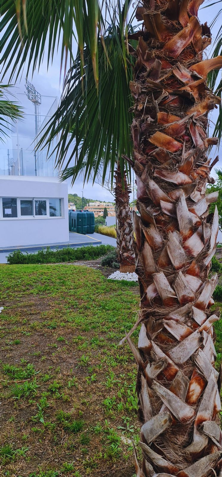 3 Bed Apartment for sale in Rincón De La Victoria Costa Del Sol East, Málaga, Spain