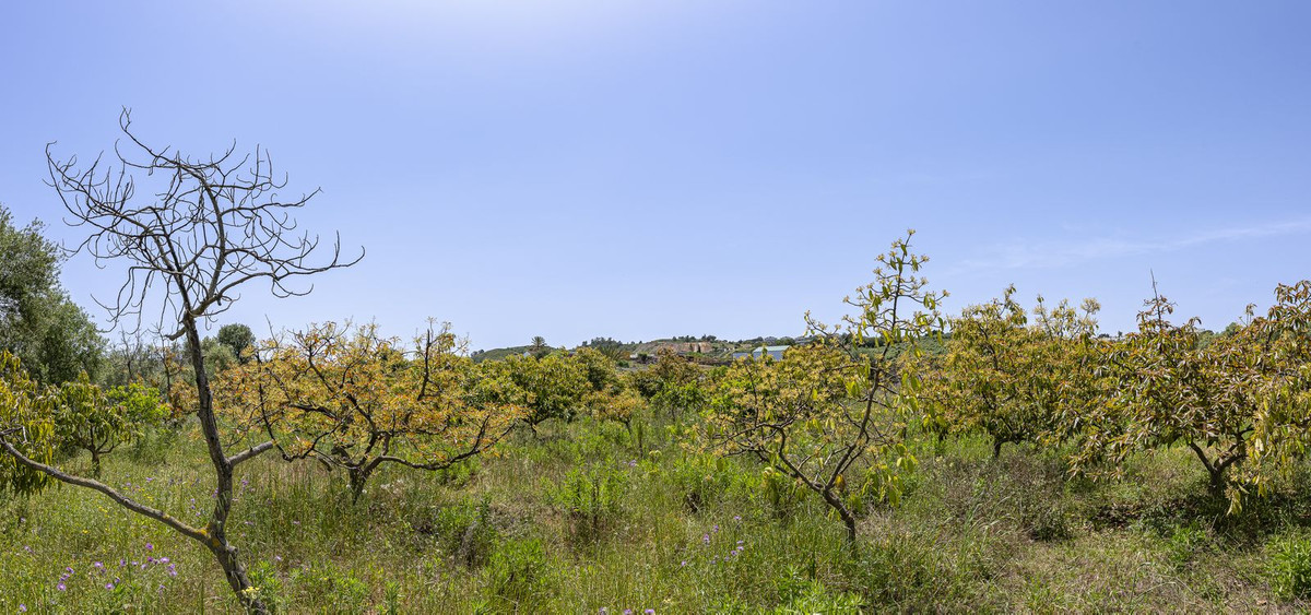 Se vende Terreno Rustico  en Costa Del Sol, Málaga, España
