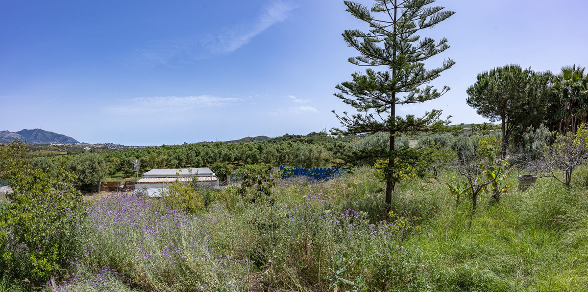 Se vende Terreno Rustico  en Costa Del Sol, Málaga, España